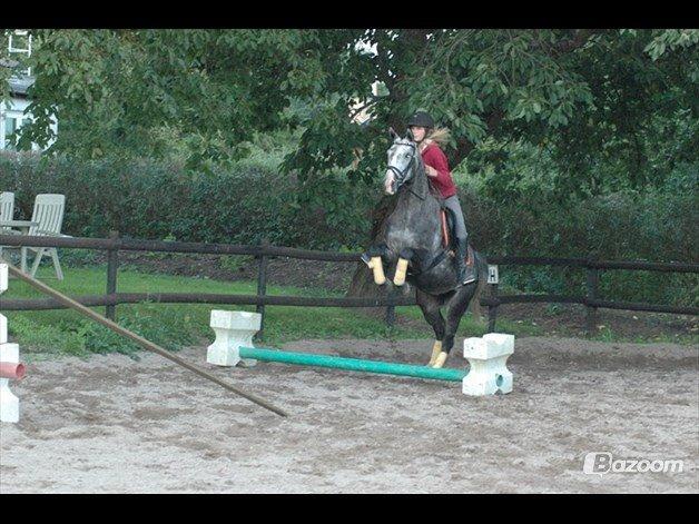 Oldenborg Cassandra *STJERNE* billede 33