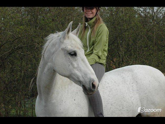 Oldenborg Emdegårds Ninet billede 28