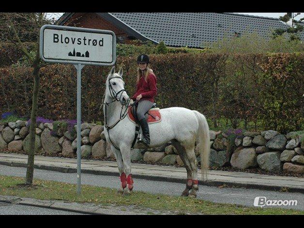 Oldenborg Emdegårds Ninet billede 31