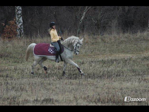 Oldenborg Emdegårds Ninet billede 48