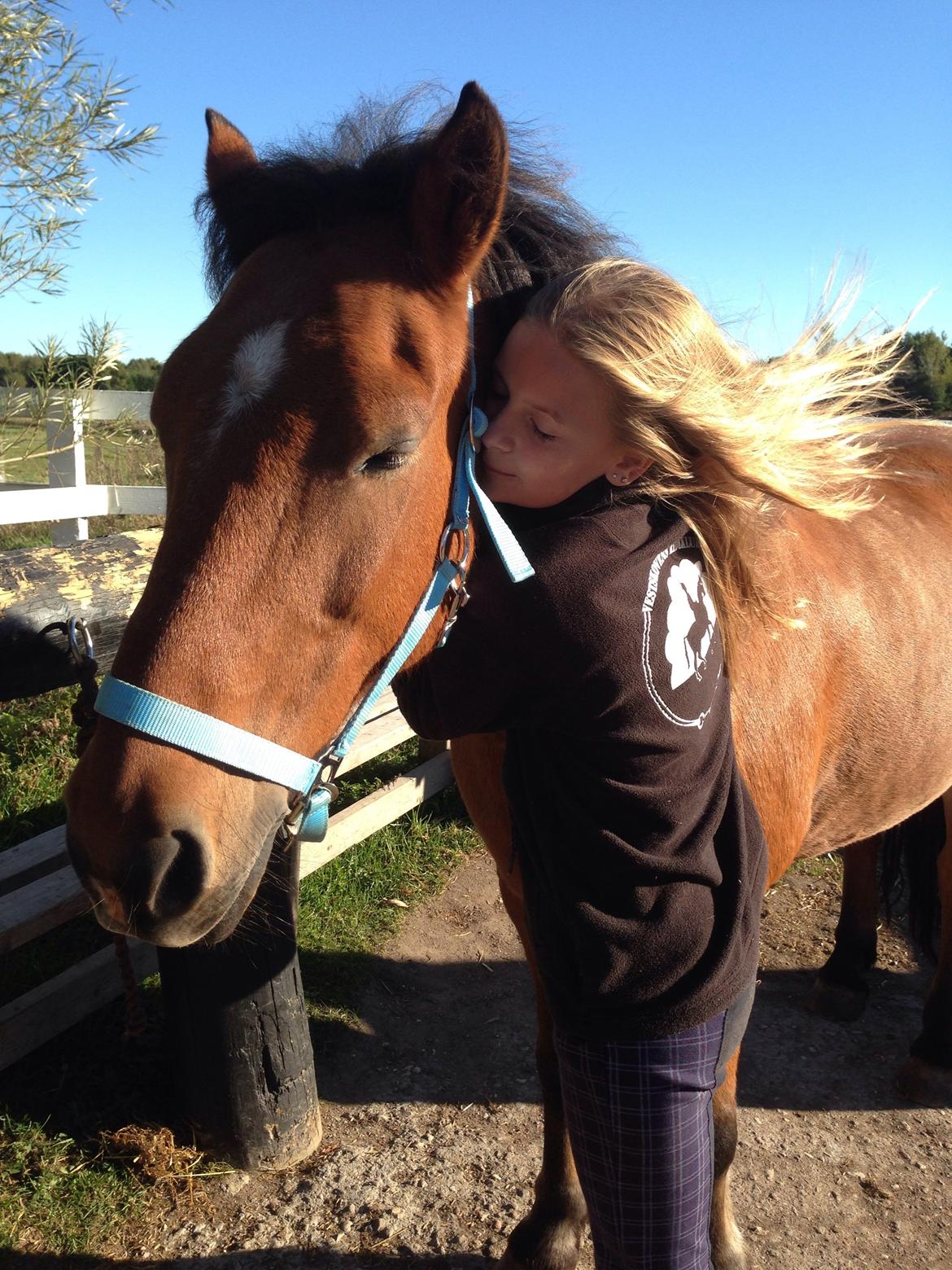 Anden særlig race Vsr st. laban - u and me 4 ever<3 billede 15