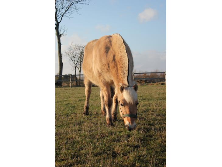 {{currentPhoto.altText}} billede {{currentPhoto.number}}