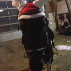 Pinto sioux indian (indi)