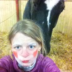 Dansk Varmblod Tatjanas Tjaikovskij