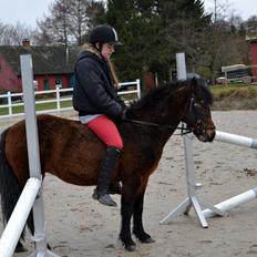 Dartmoor <3 Hammeldrups Desirée <3<3<3