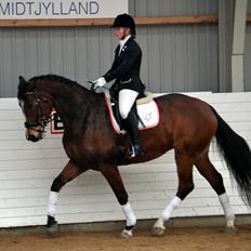 Anden særlig race Chanti