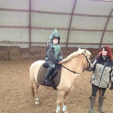 Anden særlig race Mirla