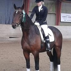 Oldenborg Santino Af Hvarre