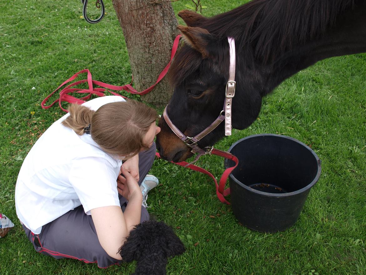 Anden særlig race dinna *for altid i mit hjerte! * billede 26