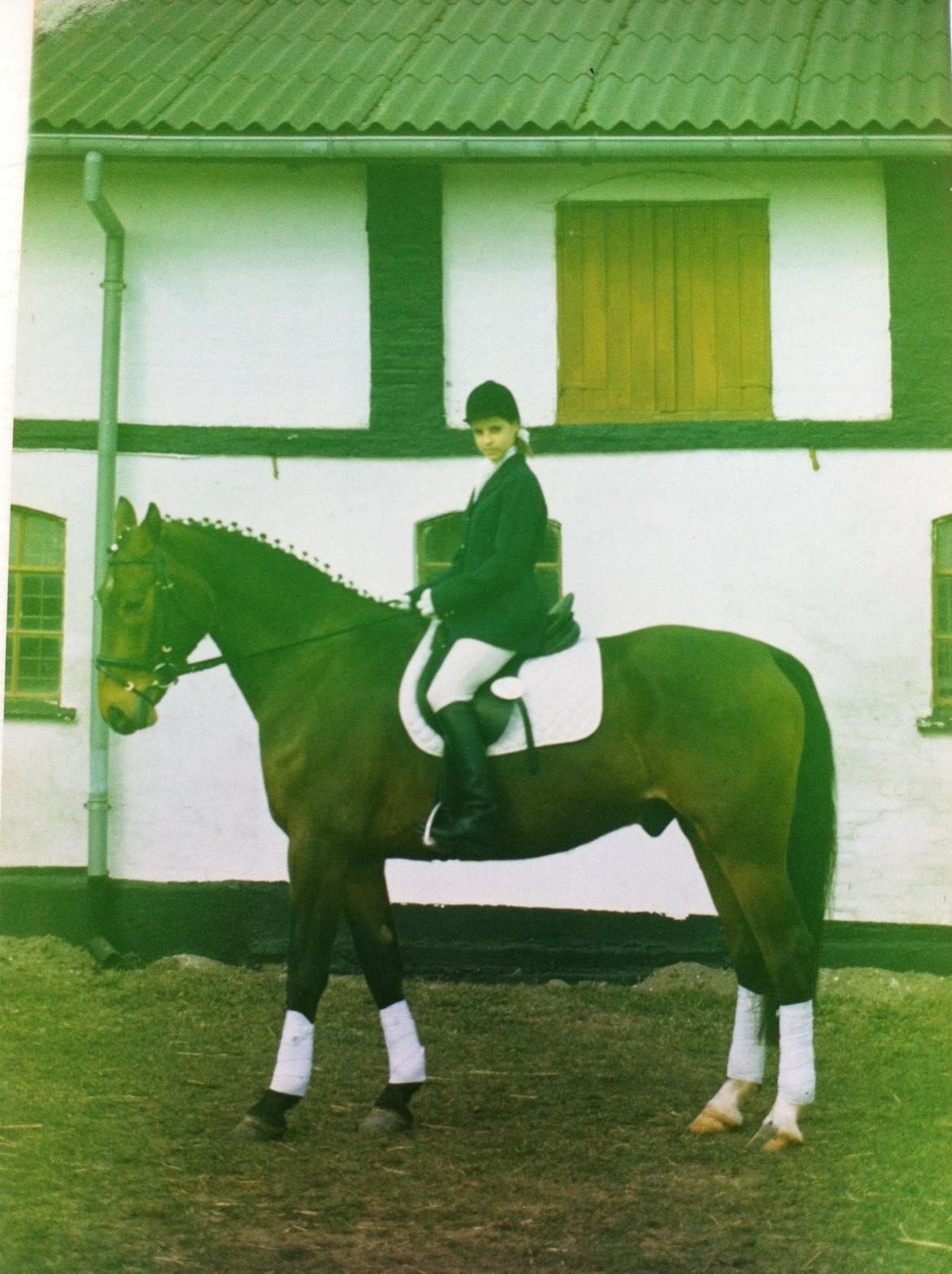 Oldenborg Batman Nygaard - Total nostalgi: 4 års championat 1994:0) billede 15