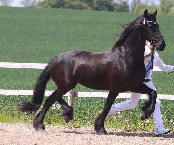 Frieser Natasja von der monden billede 8