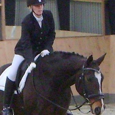 Dansk Varmblod tamara 9402182 R.I.P lever i vores hejerter billede 20