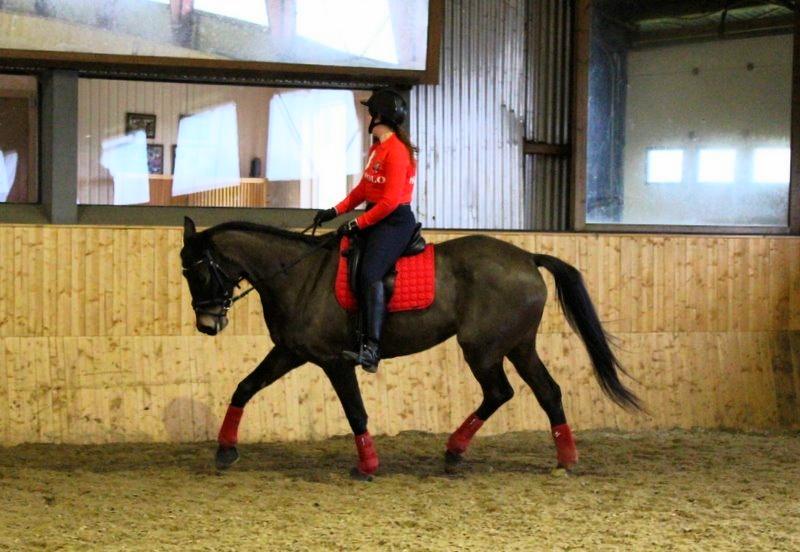 Trakehner Atlina - NYT! D. 13/2 - 14. Det går bare rigtig godt fremad med hende for tiden! billede 20