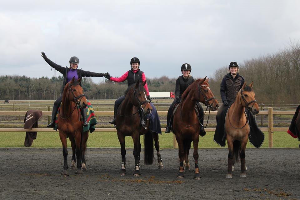 Dansk Varmblod Saksgaards Light Foot #Klubmester# - Tronsø er det bedste! billede 6