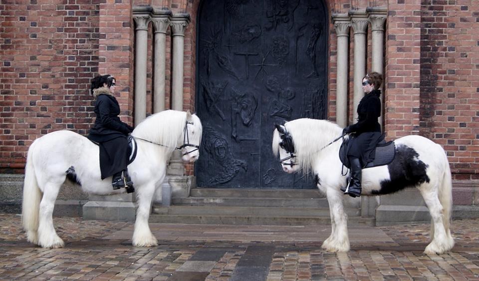 Irish Cob Saint Epona of Killarney - Roskildefreden-optog. Venster: Shooting Star. højre: Saint Epona billede 3