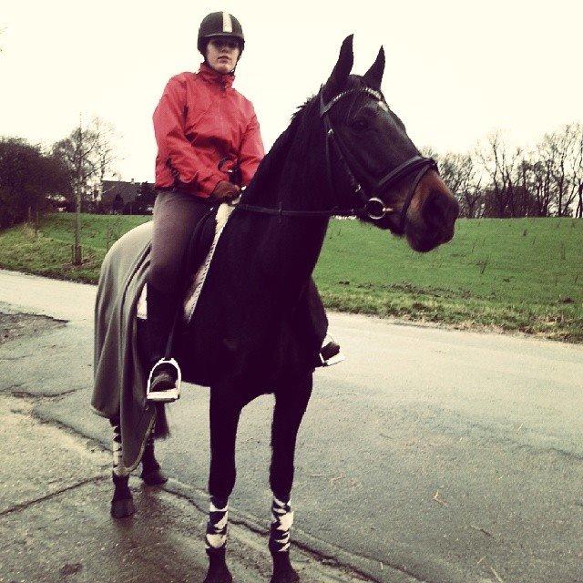 Anden særlig race ¤Melissa¤ billede 32