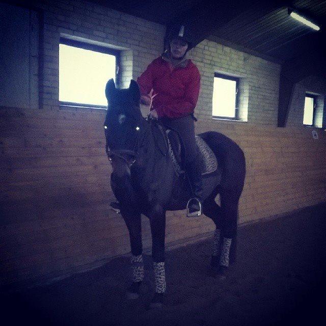 Anden særlig race ¤Melissa¤ billede 33