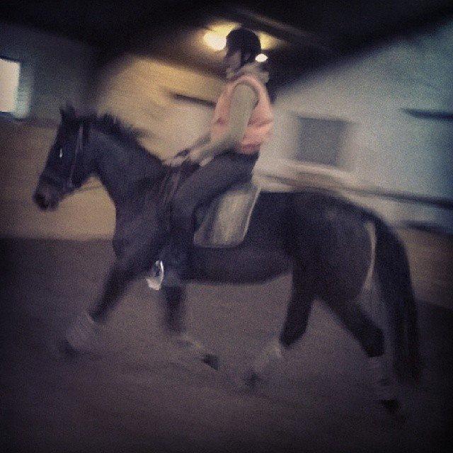 Anden særlig race ¤Melissa¤ billede 37