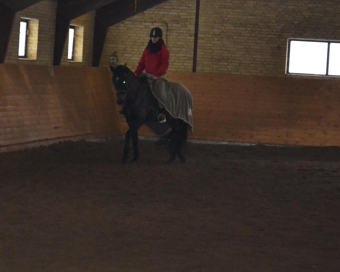 Anden særlig race ¤Melissa¤ billede 39