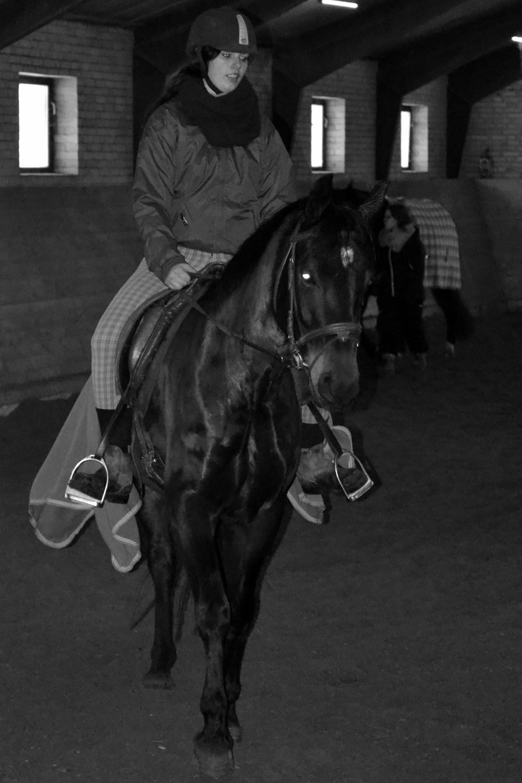 Anden særlig race ¤Melissa¤ billede 40