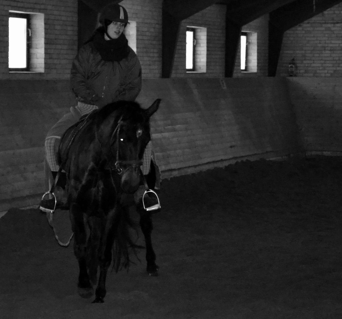 Anden særlig race ¤Melissa¤ billede 41