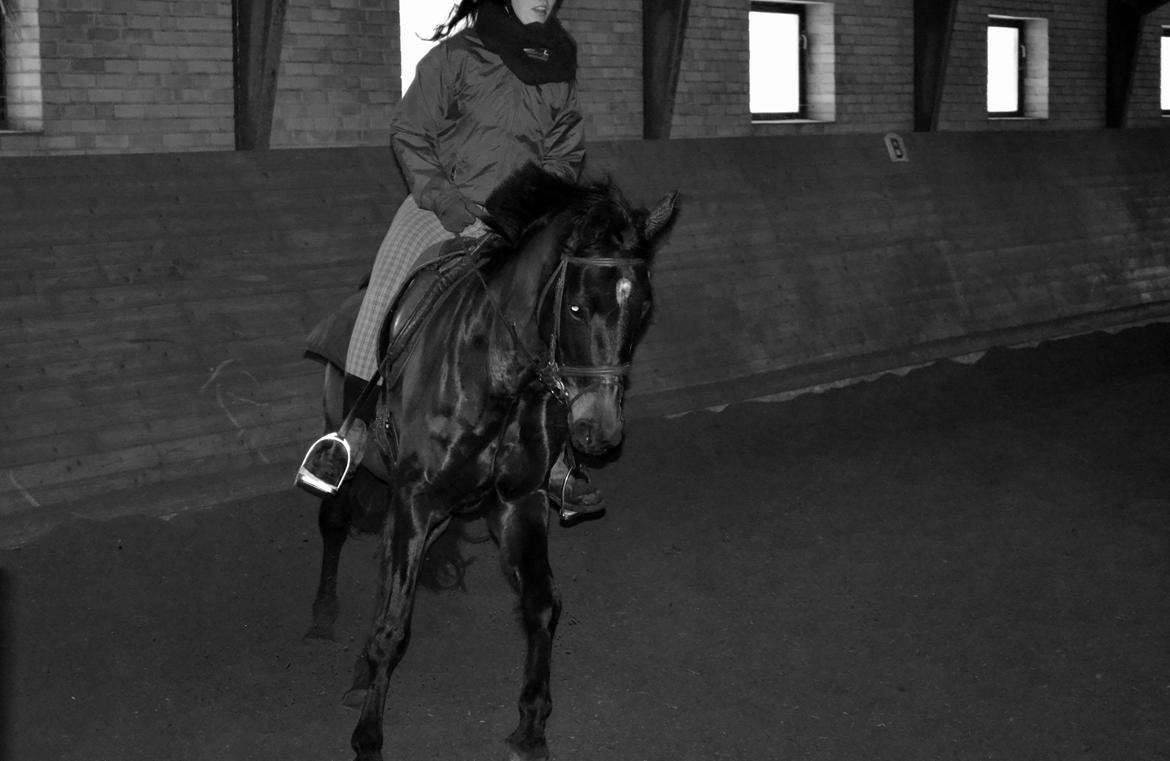 Anden særlig race ¤Melissa¤ billede 42