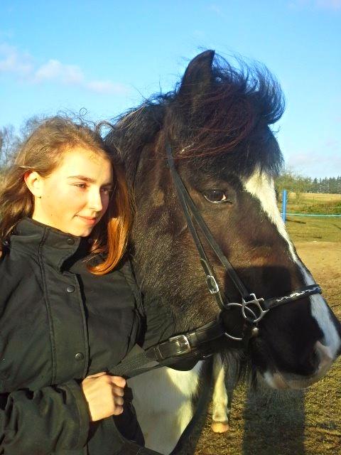 Islænder Glanni( Glans ) - Velkommen til Glannis profil! Læg gerne en kommentar! :) billede 2