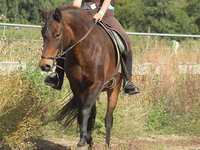 Islænder Bylgja fra solløkke (Min stjerne) - Velkommen til Bylgjas profil<3 billede 2