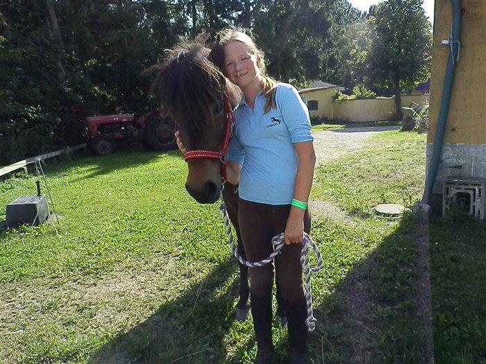 Islænder Bylgja fra solløkke (Min stjerne) billede 10