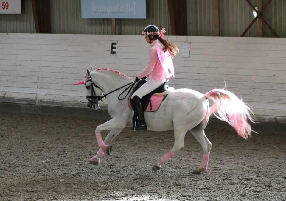 Anden særlig race Marcus - Et af de nyeste billeder, fra fastalavn 2014. Her ser i os i LA4 billede 3