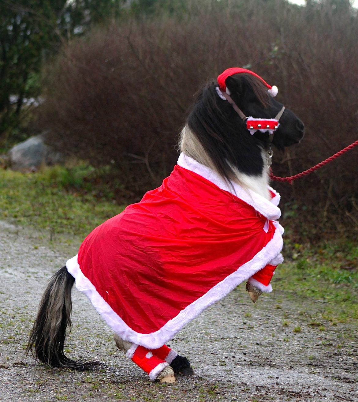 Miniature Magic Flash Back - Glædelig jul 2013 ;) billede 32