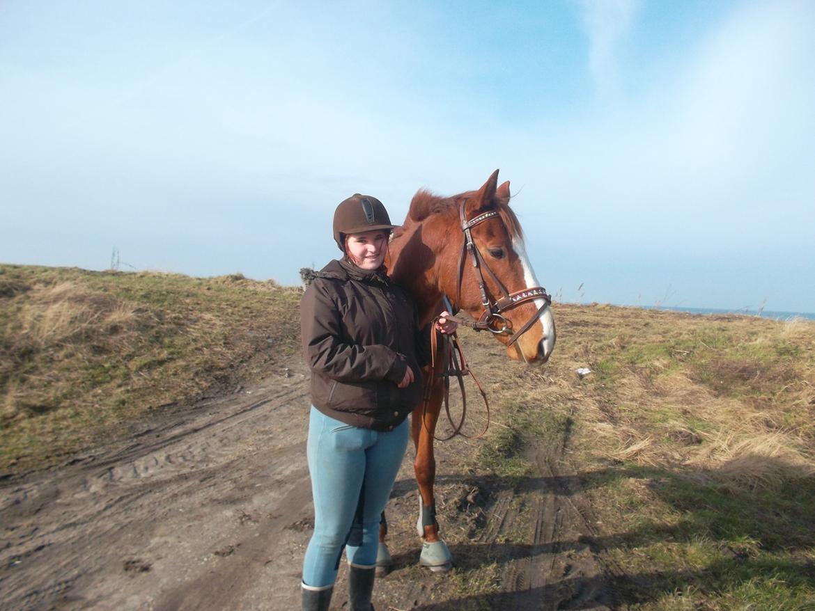 Fuldblod (XX) Avalon billede 8