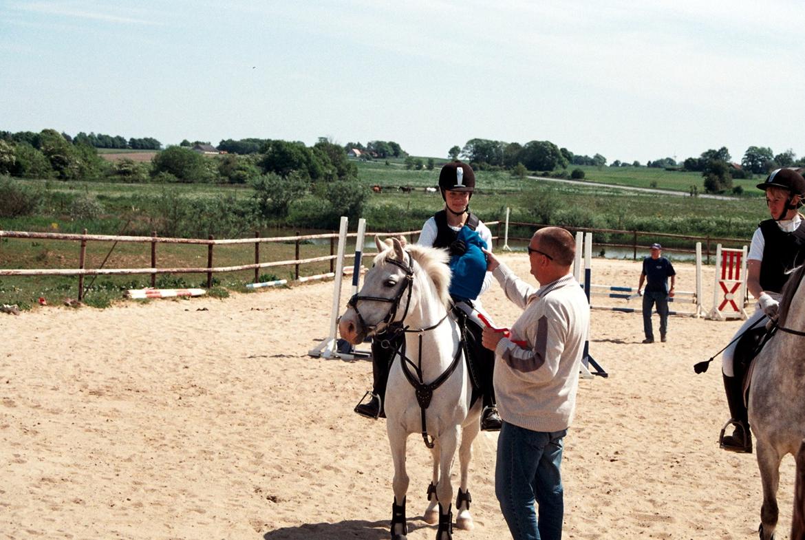 Welsh Pony (sec B) Korreborgs Henriette billede 26