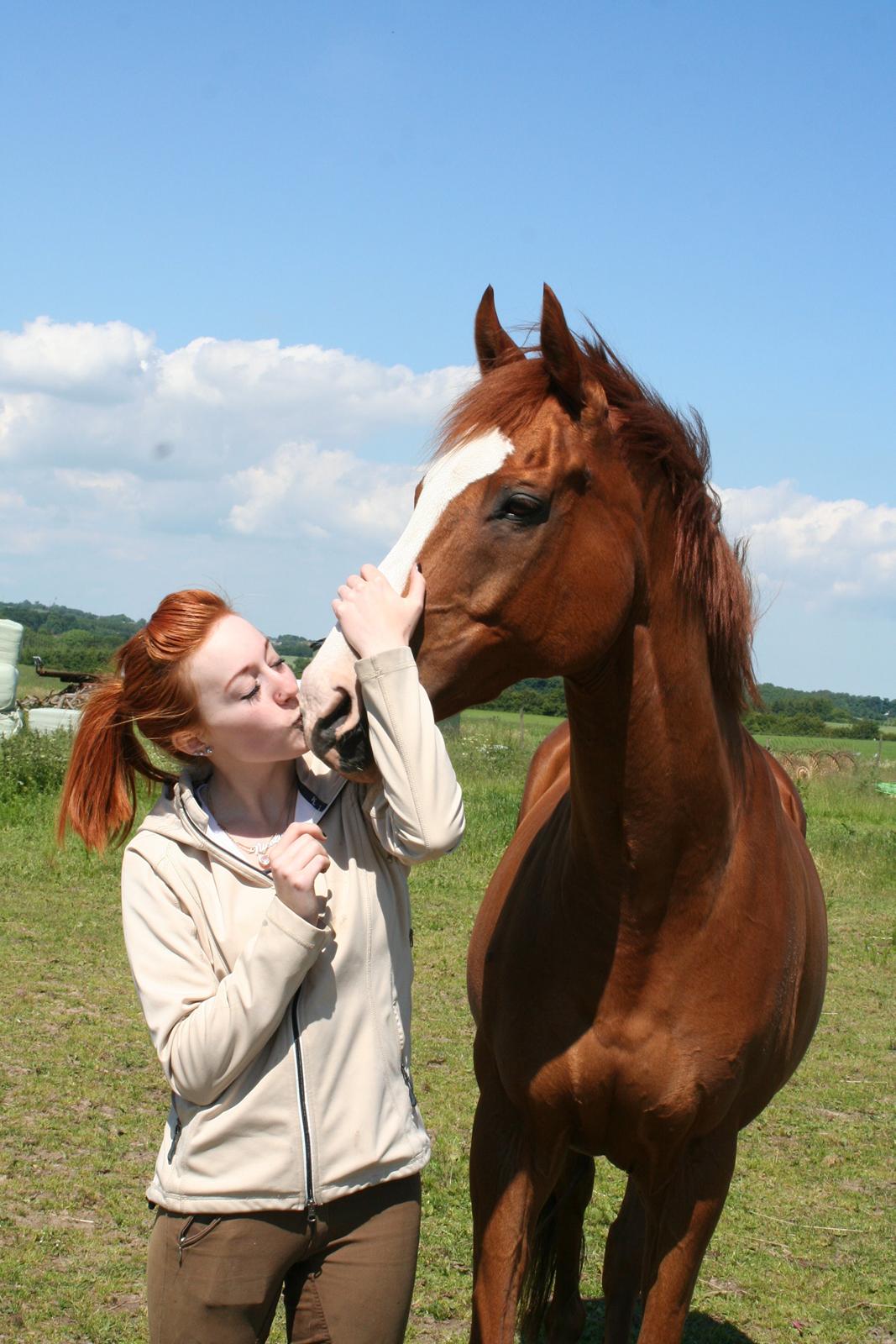 Fuldblod (XX) Clarity XX billede 14