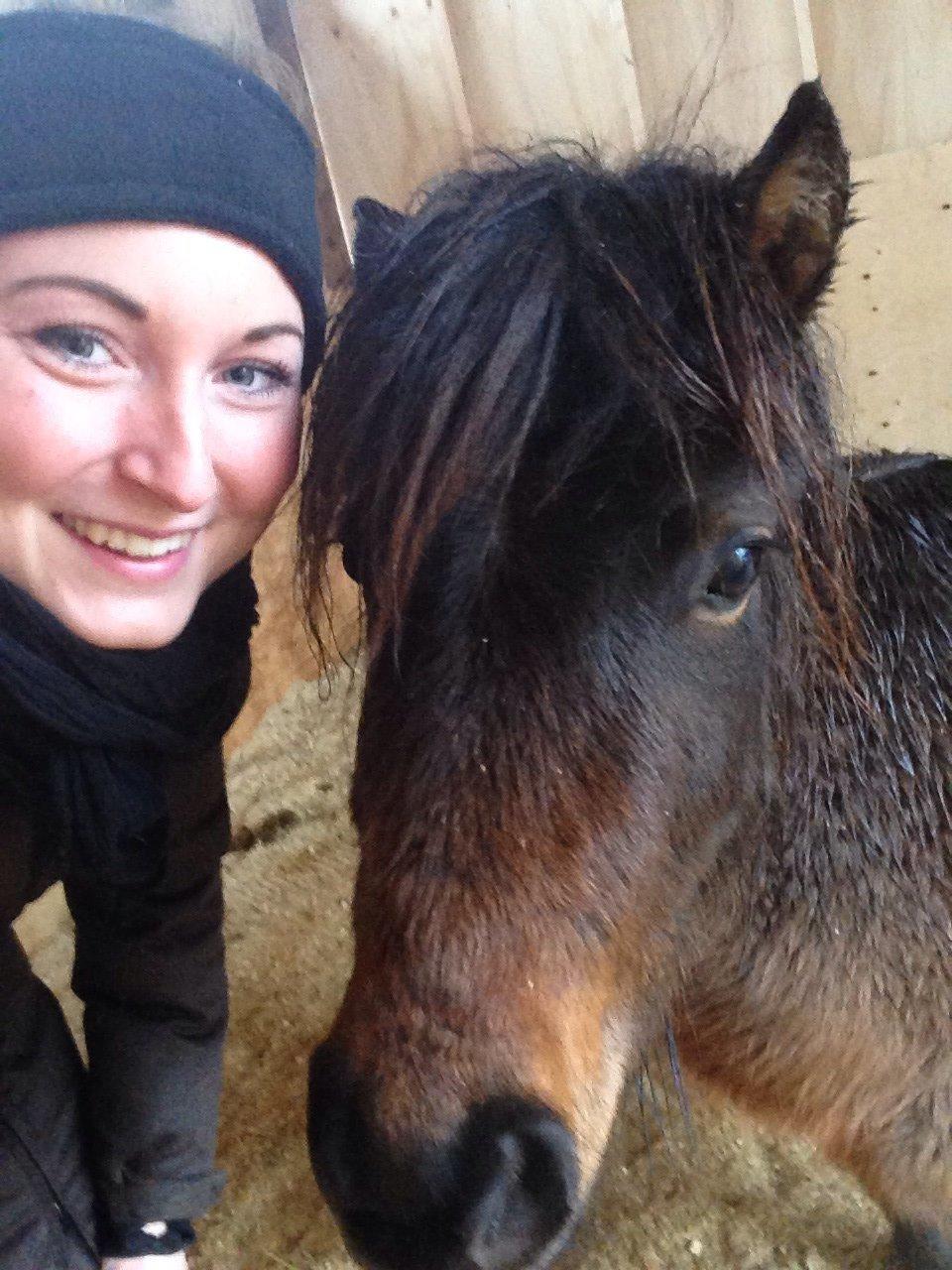 Shetlænder | Ib (Ibrahim) billede 7