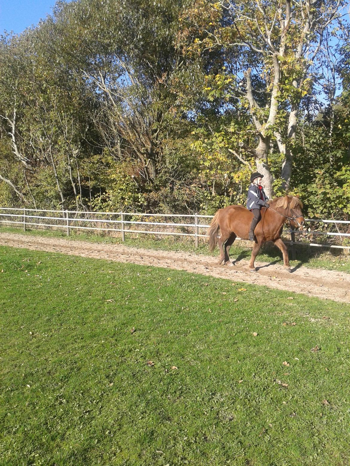 Islænder Saga billede 1