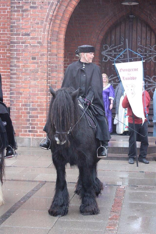 Irish Cob Pot of Gold - "Freden i Roskilde" Optog 19-02-2014 billede 16