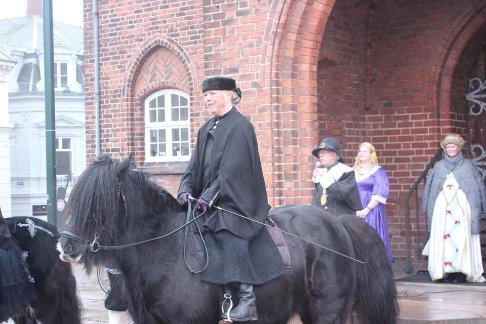 Irish Cob Pot of Gold - Pot 1. tur i byen som showhest :) billede 17