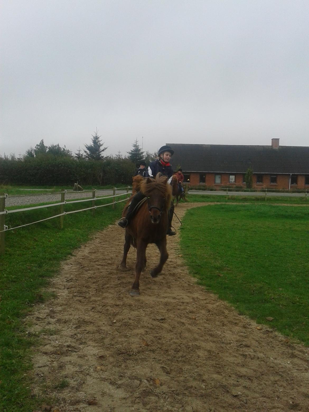 Islænder Saga billede 6