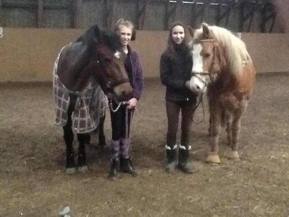 Haflinger Hajo - :) billede 12