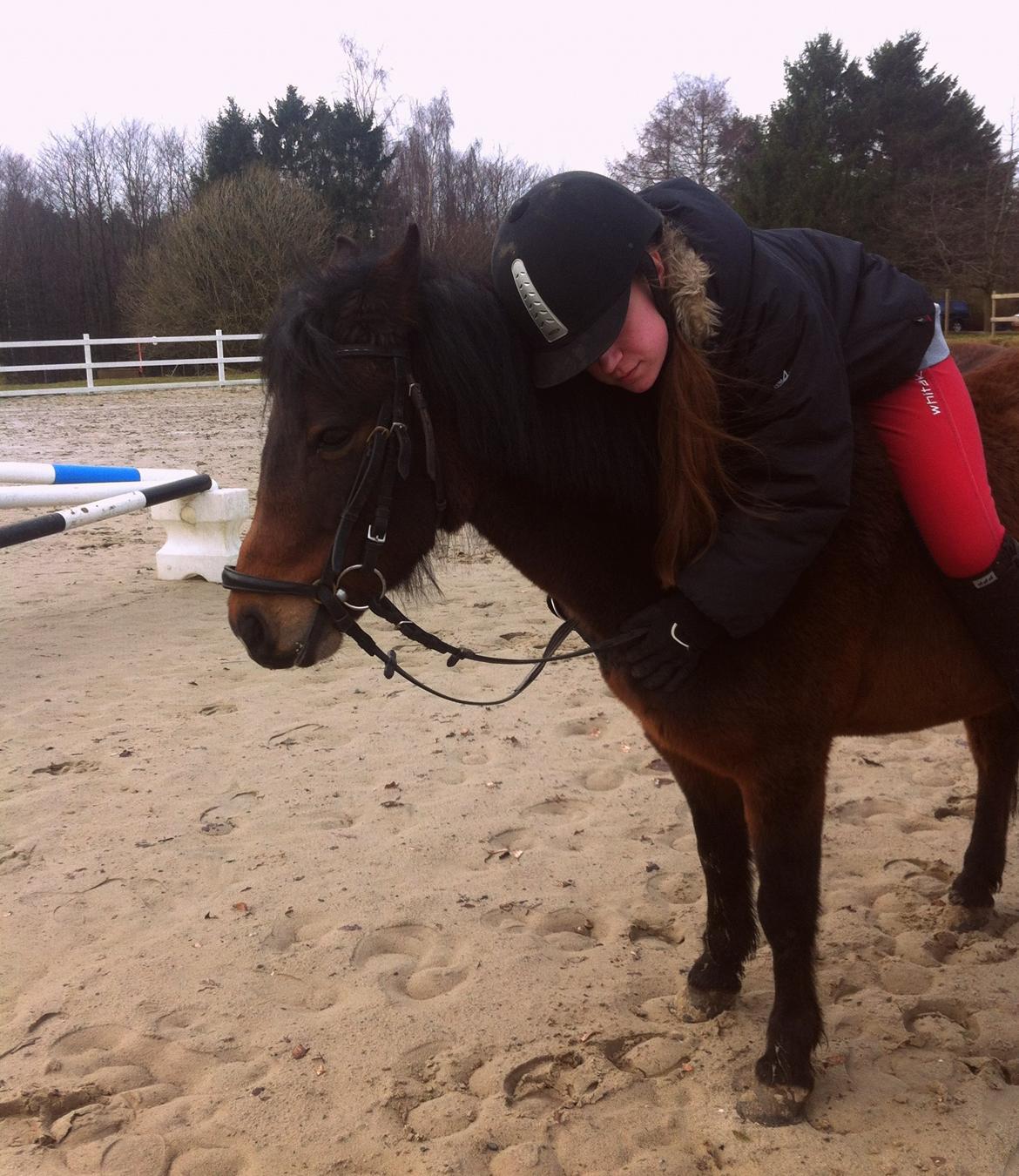 Dartmoor <3 Hammeldrups Desirée <3<3<3 billede 11