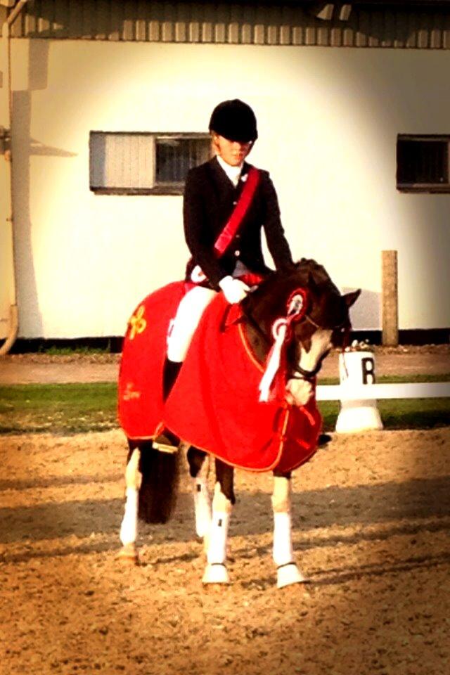 Welsh Partbred (Sec F) West Side Pride Pioneer - Velkommen :) I må gerne smide en kommentar og en beddømmelse inden i går:) DISTRIKSMERSTER 2013<3 <3  billede 1