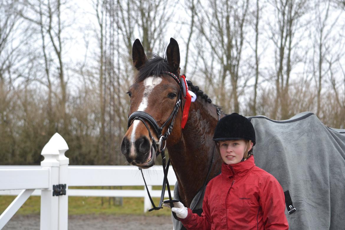 Anden særlig race Chanti billede 12