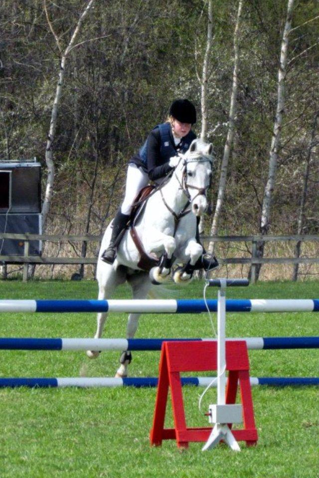 Welsh Partbred (Sec F) West Side Pride Poet - You can only reach your dreams if you fight for them<3 <3 <3 Foto Camilla Mørch. billede 6