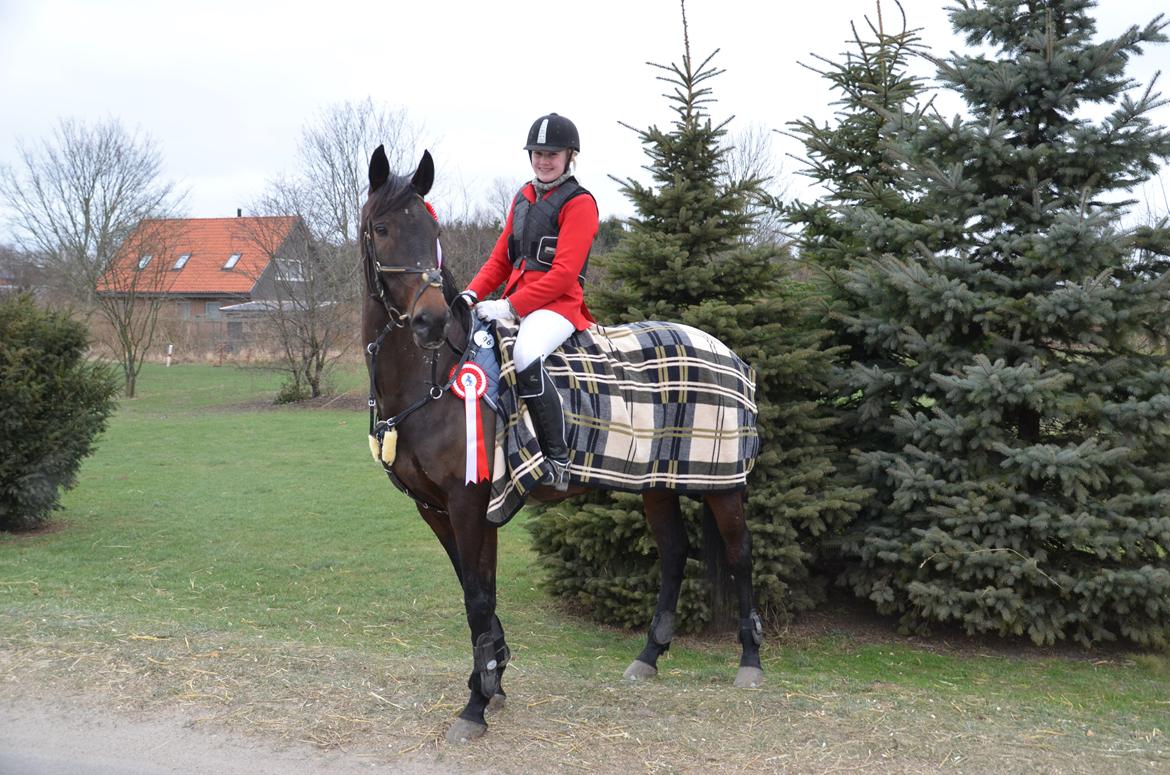 Fuldblod (XX) Windrose´s aisha - Vemmelev Rideklub 2014 billede 7