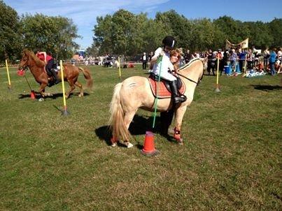 Anden særlig race Mirla billede 1