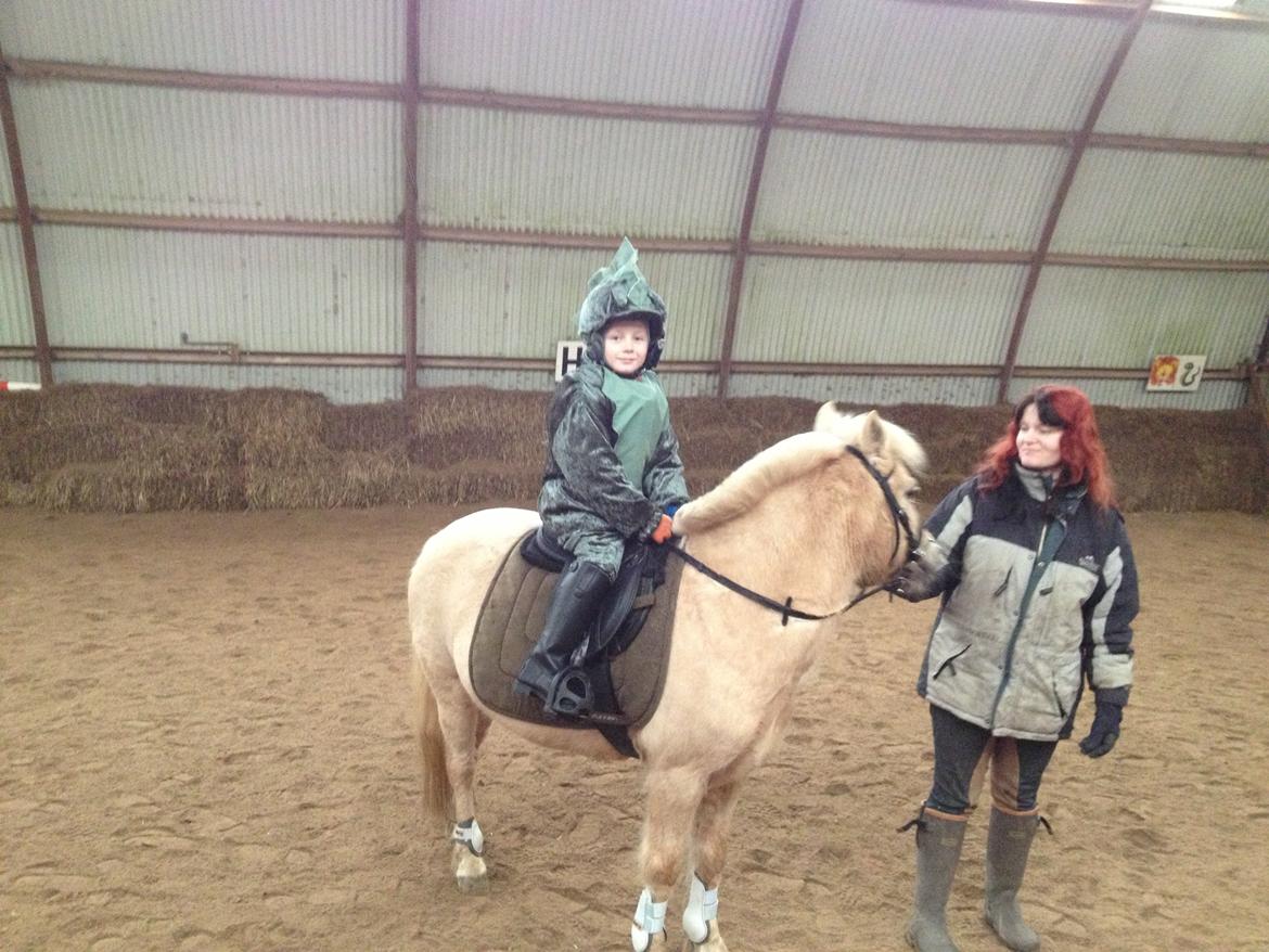 Anden særlig race Mirla billede 2