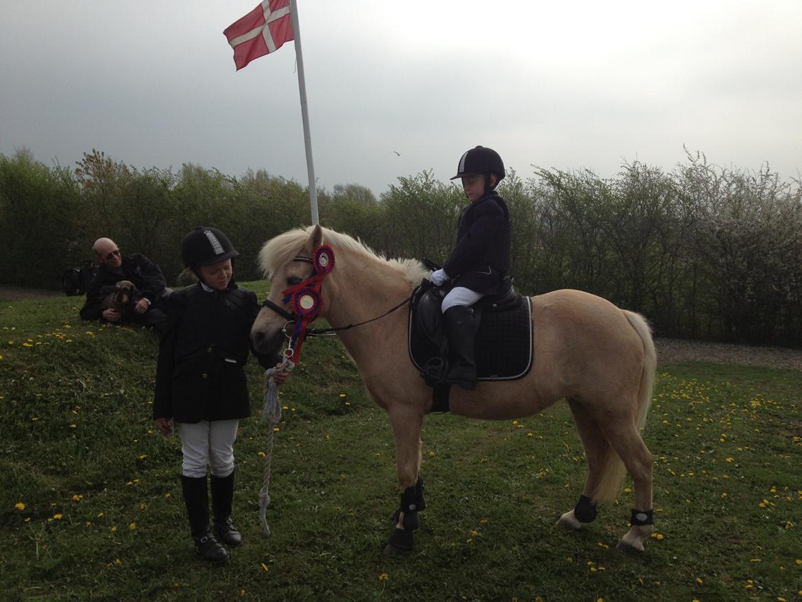 Anden særlig race Mirla billede 6