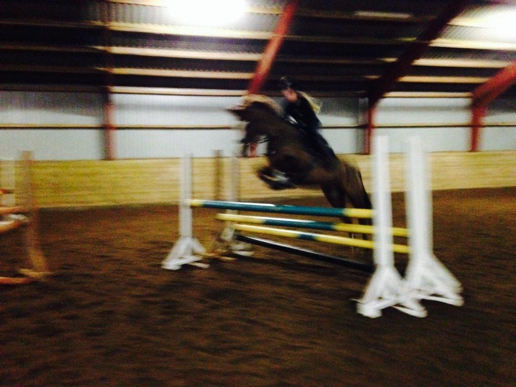 New Forest Lilholst Baluo - Den bedste pony i verden!<3<3 ( Lidt dårlig kvalitet ) billede 19