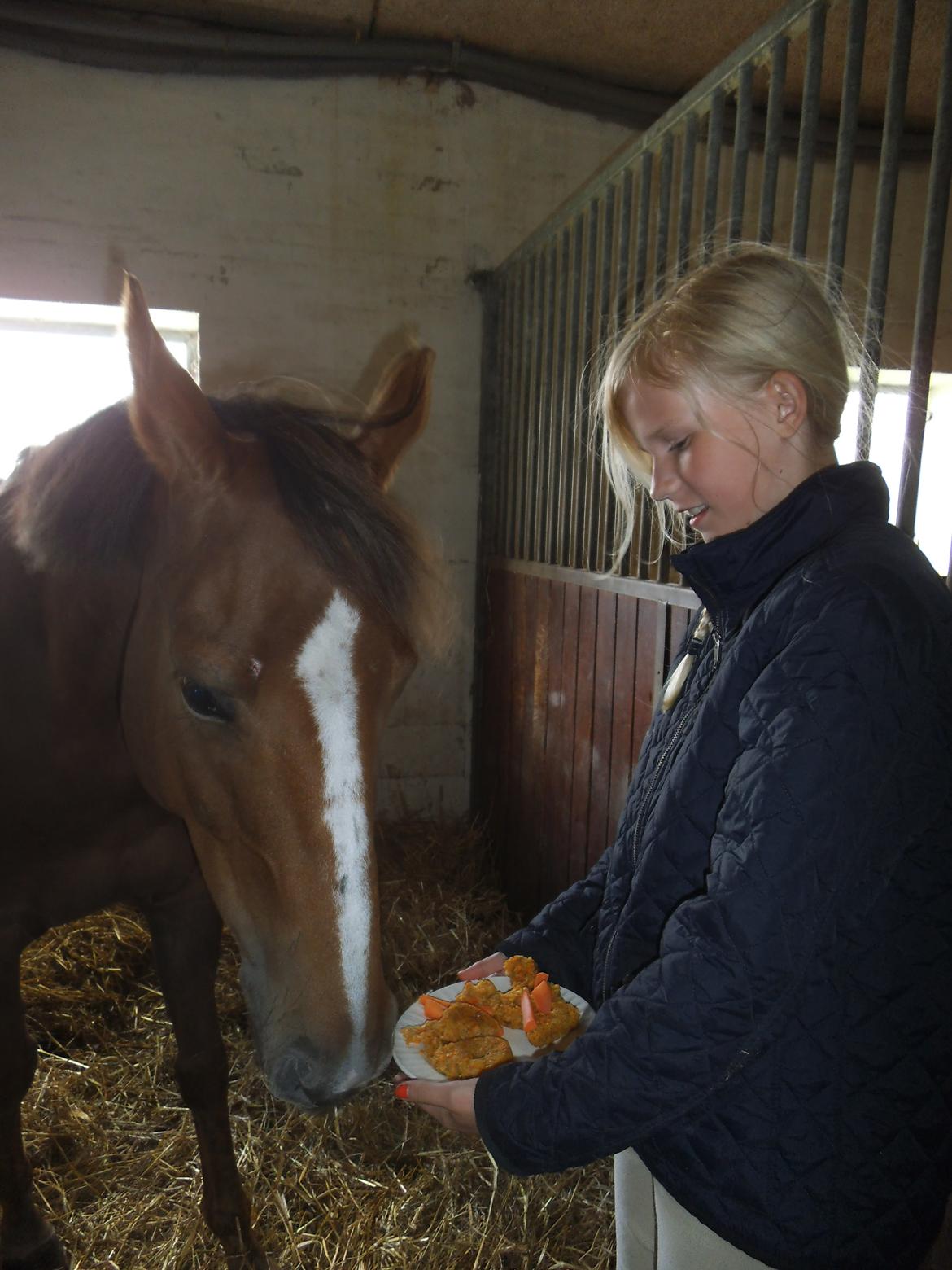 Palomino Aastrupgaards Gry - Taget på Grys fødselsdag d. 28. juni 2013 billede 10